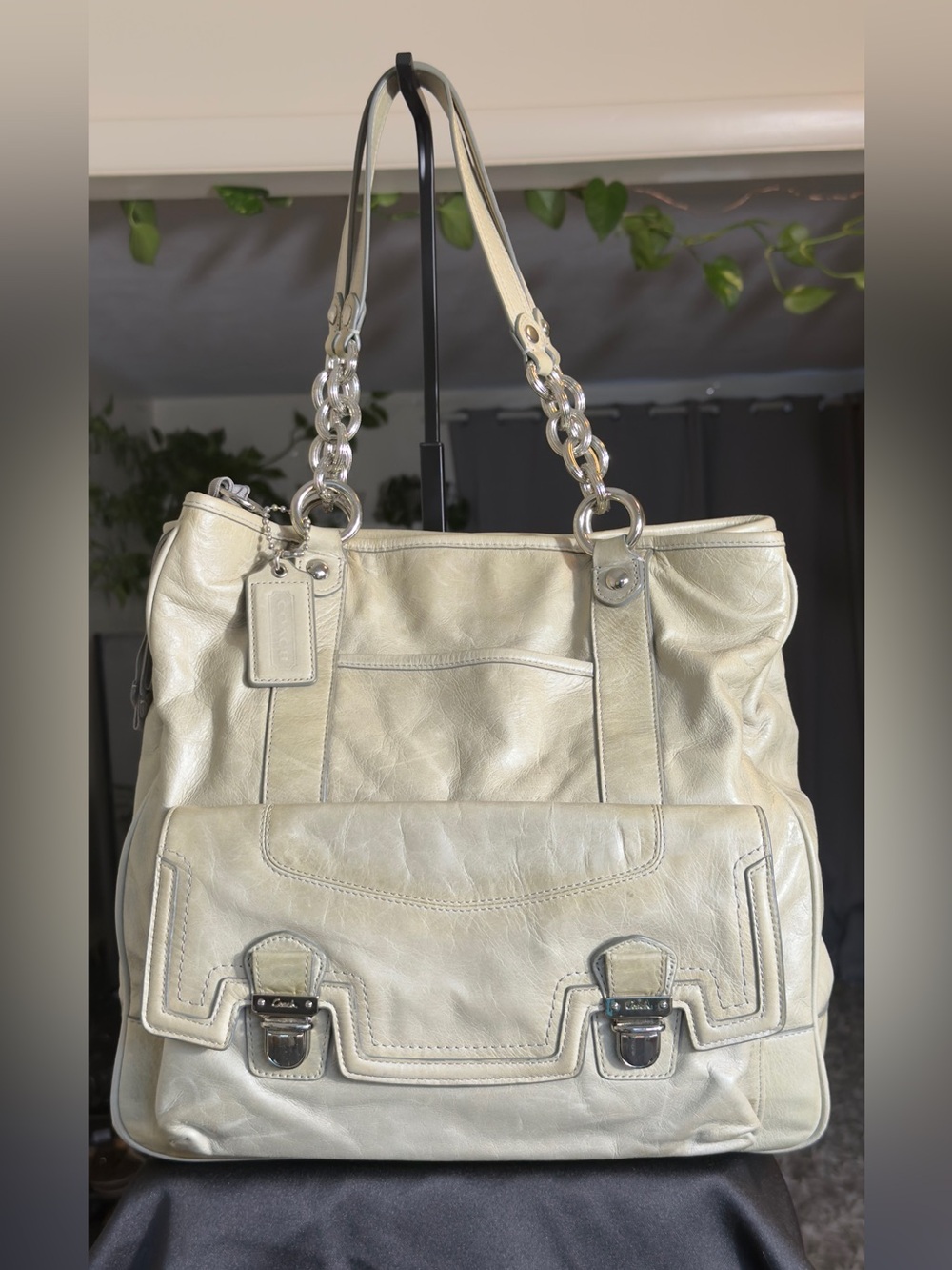 Coach Poppy Leather Pushlock North South Tote Bag Metallic Silver Pearl Sage 179